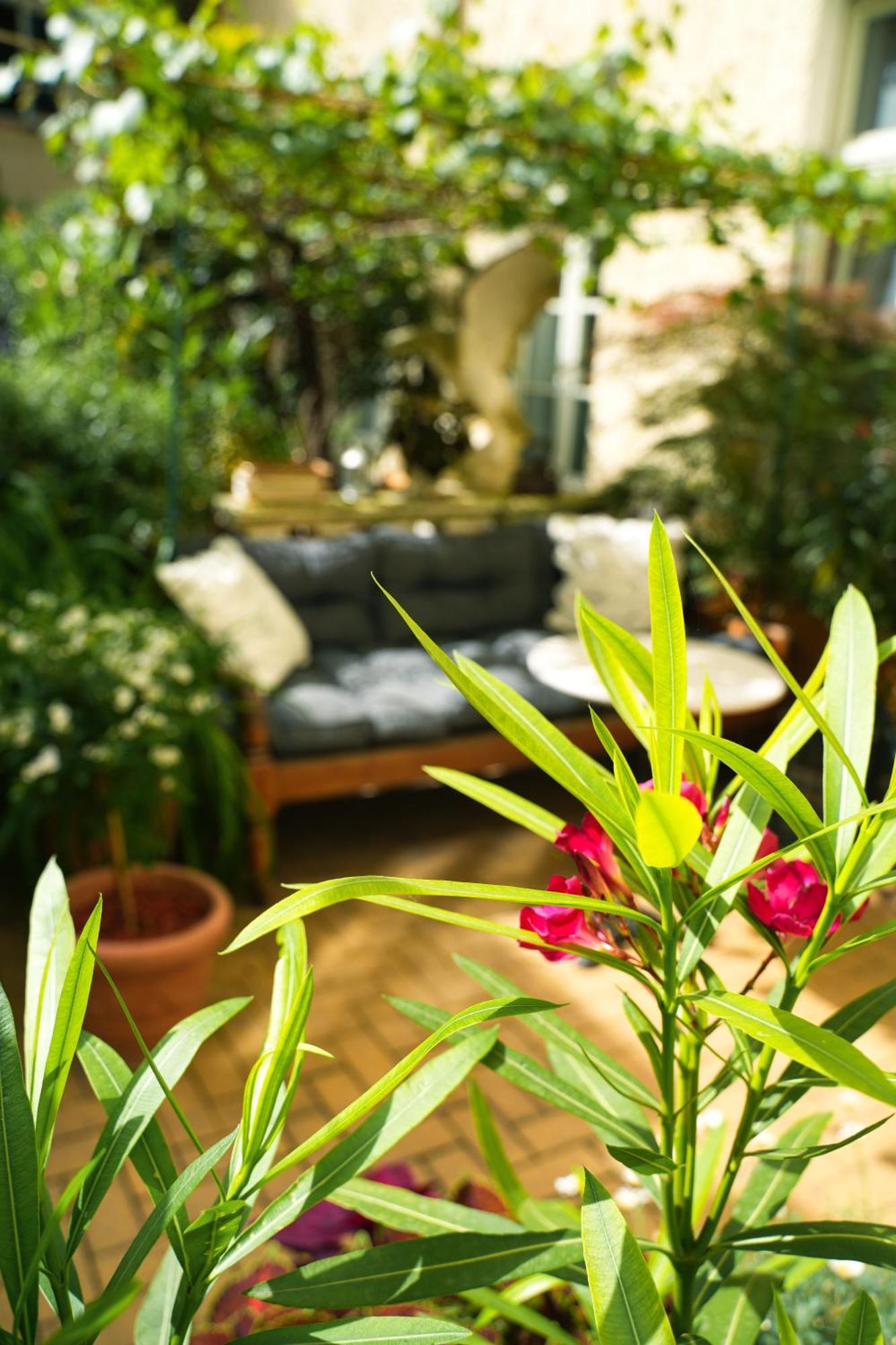 Honigmond Boutique Hotel Berlin Luaran gambar